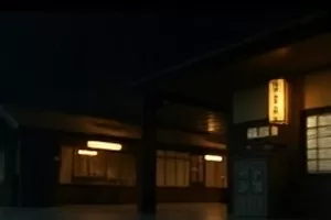《候鸟计划》剧照，成群候鸟掠过湿地水面